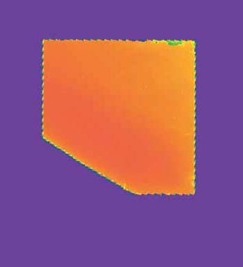 02 Detection of Contaminants